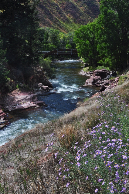 the Roaring Fork River at the Lower River Road